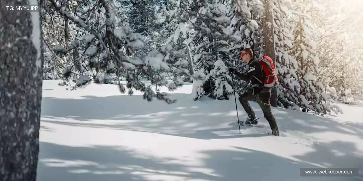 🏀 实时直播，高清畅享！一键直击赛场，热血永不离线！